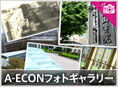 A-ECON�t�H�g�M�������[